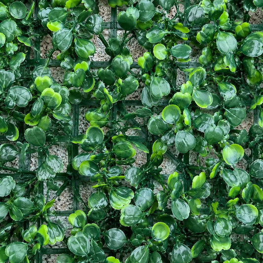 Panou de Gard Viu Artificial Aglaia Odorata, 40 x 60 cm, Verde