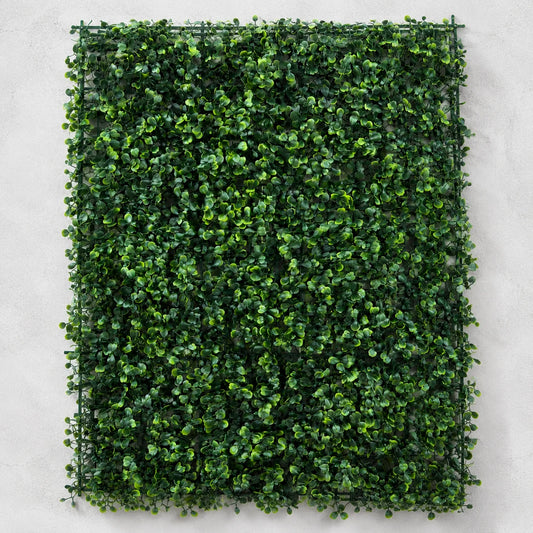 Panou de Gard Viu Artificial Aglaia Odorata, 40 x 60 cm, Verde