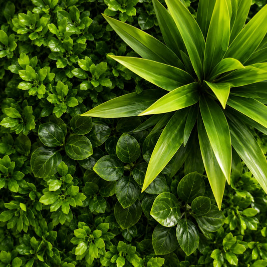 Planta Artificiala Panou de Gard Viu Cimisir, 100 x 100 cm, Verde