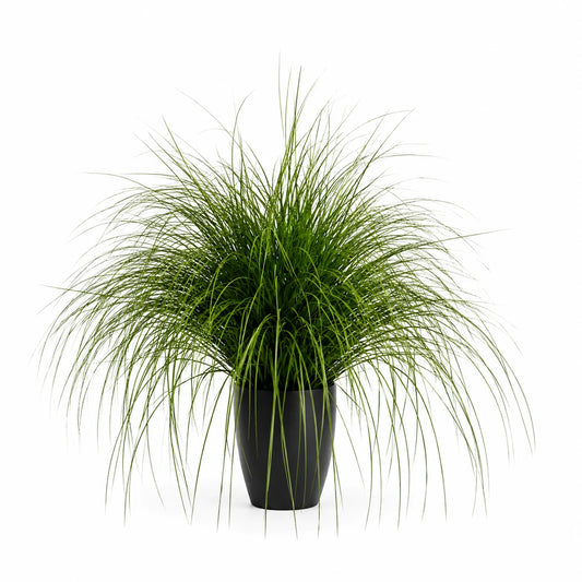 Planta Artificiala Iarba Ornamentala Tip Fantana, 110cm, Verde, Fara Ghiveci