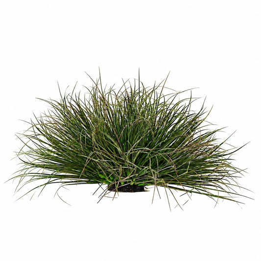 Planta Artificiala Tufa de Iarba Tip Ceapa Curbata, 28 cm, Densitate Redusa, Verde Inchis, Fara Ghiveci