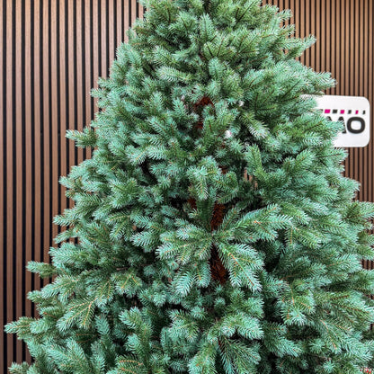 Brad artificial , Hollandia, verde cu varfuri argintii, integral 3D, 230 cm