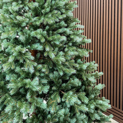 Brad artificial , Hollandia, verde cu varfuri argintii, integral 3D, 230 cm