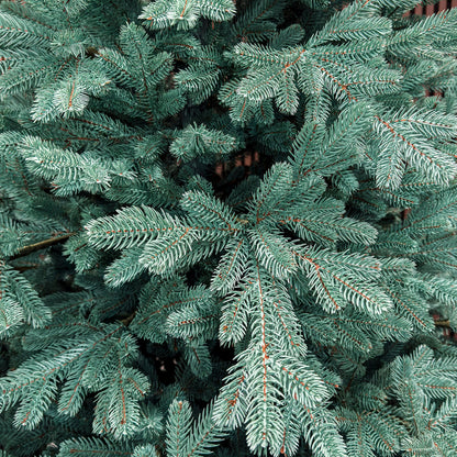 Brad artificial Christmas Deluxe by , Viena Select argintiu, integral 3D, 250 cm