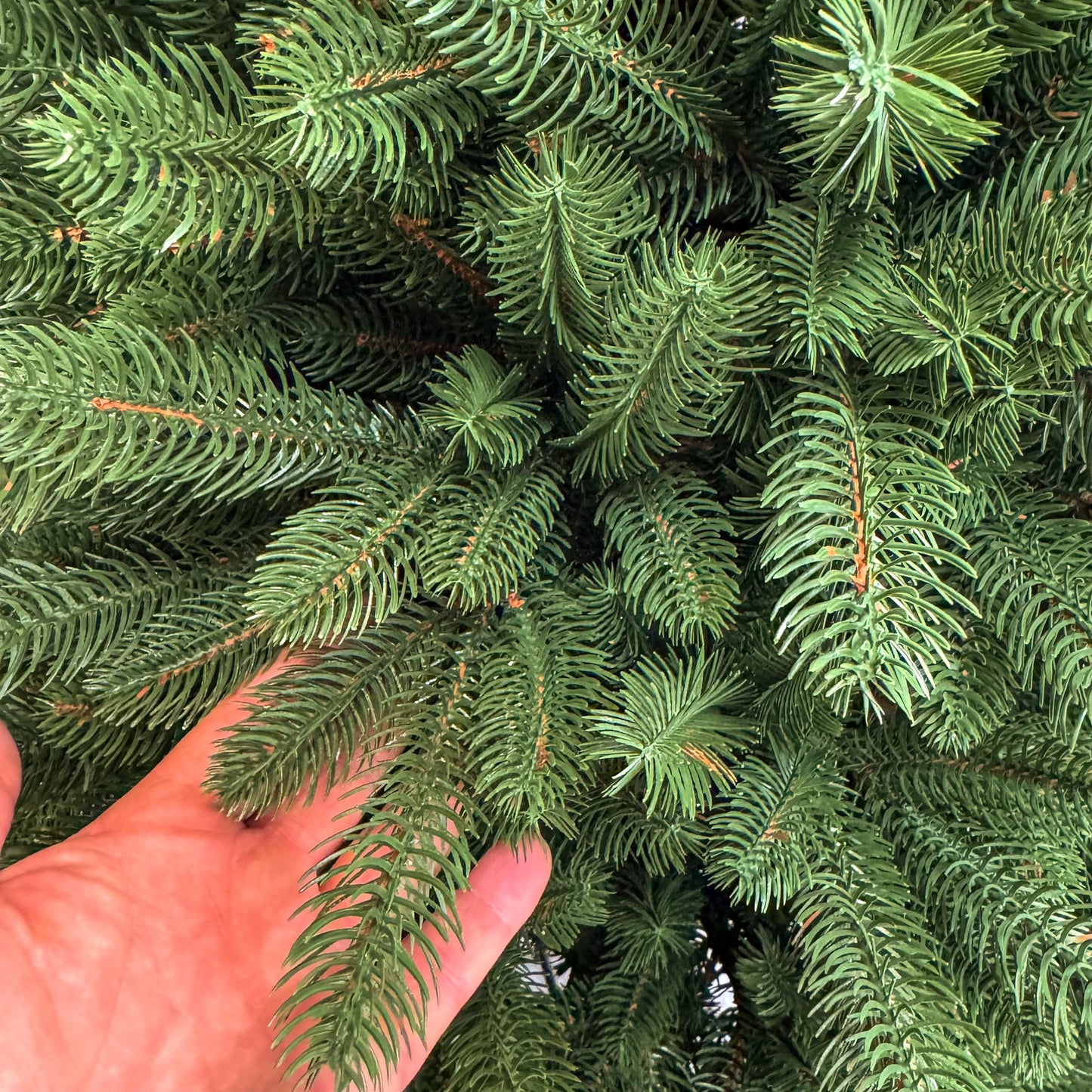 Brad artificial , Viorisse Elite, verde, integral 3D, 190 cm