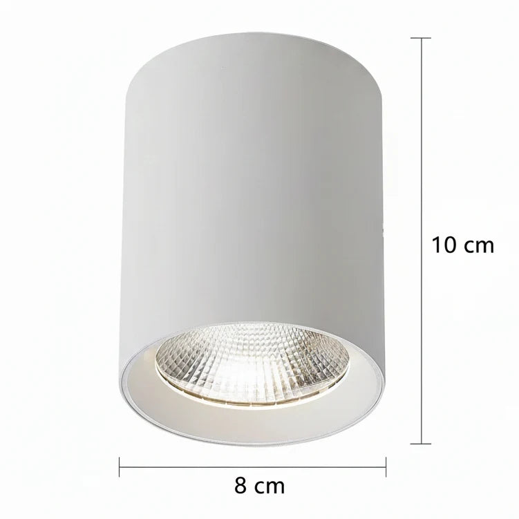 Proiector LED TINNIE, Fix, 8W, Lumina Neutra 4000K, Alb