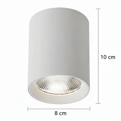 Proiector LED TINNIE, Fix, 8W, Lumina Neutra 4000K, Alb