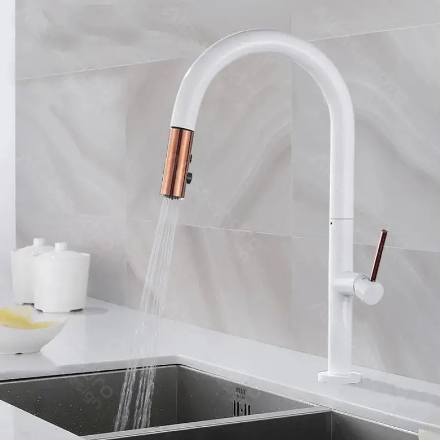 Baterie Bucatarie cu Dus Extractibil, Alama Sanitara, Alb, CF/1035/A – culoare albă – RegalStore, iluminat interior