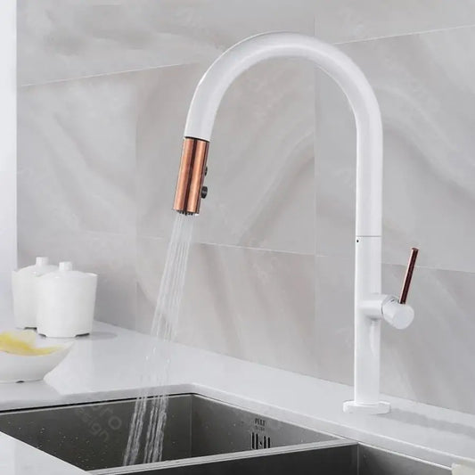 Baterie Bucatarie cu Dus Extractibil, Alama Sanitara, Alb, CF/1035/A – culoare albă – RegalStore, iluminat interior