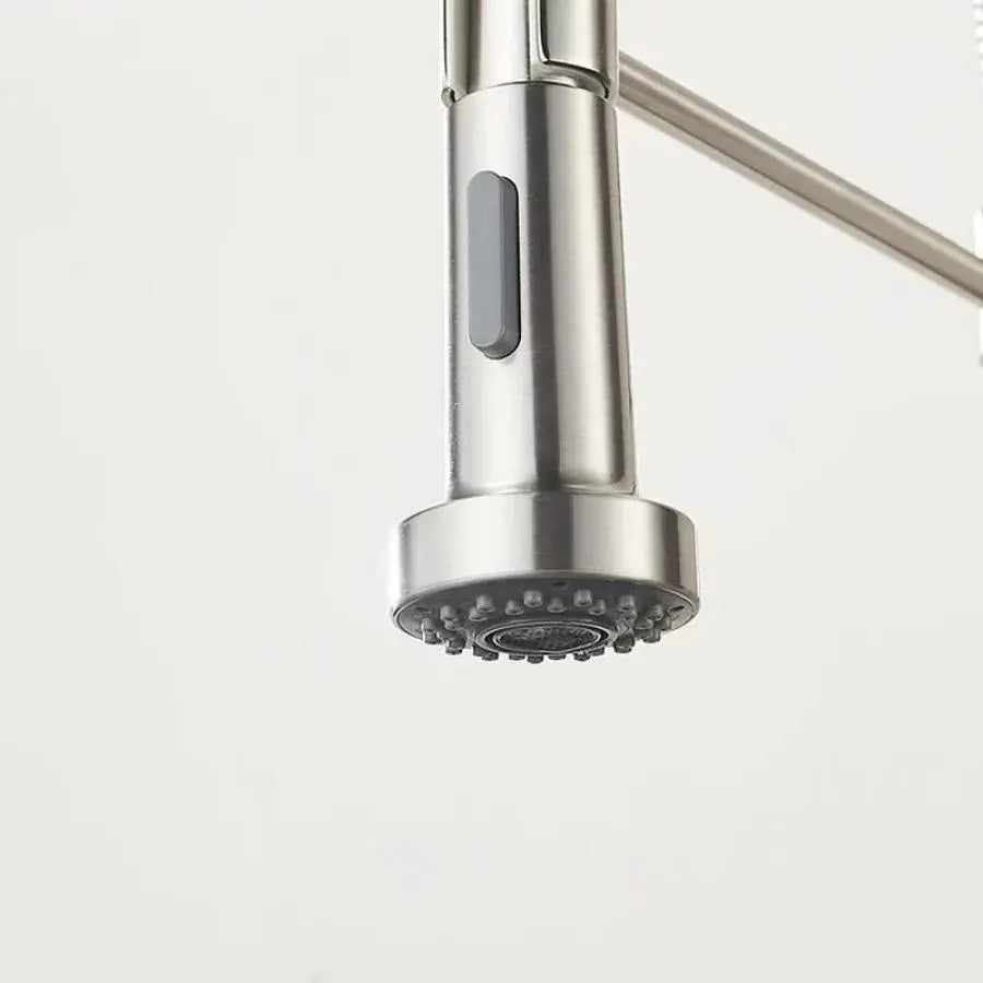 Baterie Bucatarie cu Dus Extractibil, Inox si Alama Crom, YD/101 – culoare argintie – RegalStore, iluminat interior