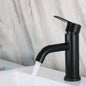Baterie Lavoar, Inox SUS304, Negru, HS/LY007