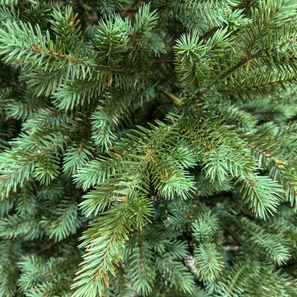 Brad artificial , Scandinavia, verde cu varfuri argintii, integral 3D, 210 cm